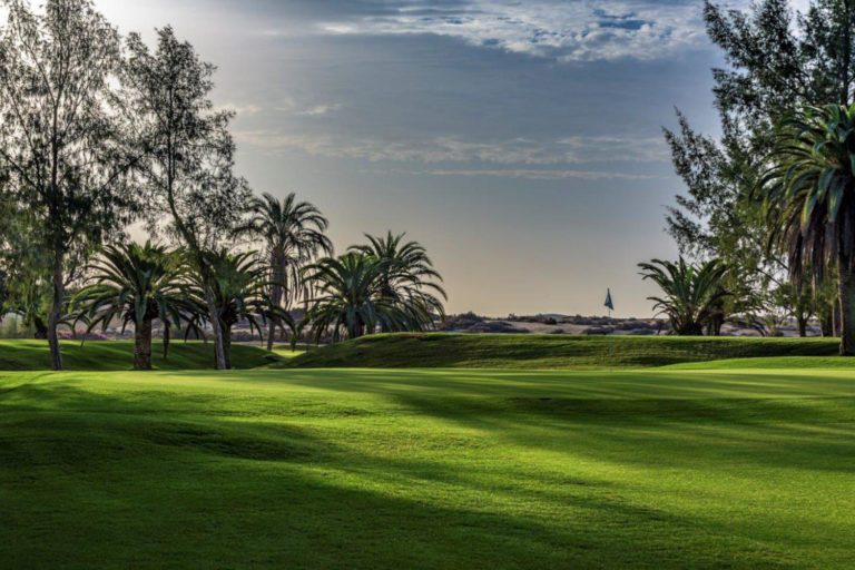 Maspalomas Golf - ROF4017-20201020