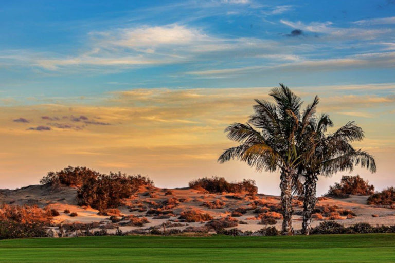 Maspalomas Golf - ROF4139-20201020