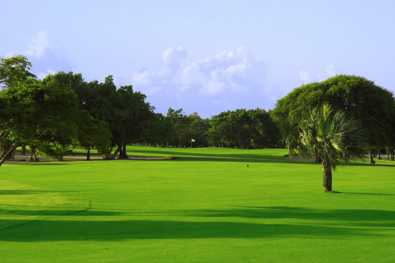 Cocotal Golf & Country Club